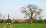 Szenerie  Baum mit Kirche und Auto  in der Nienburger Marsch, 15.