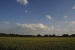 Landschaft irgendwo in Lehrte.