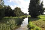 Die Burgdorfer Auhe bei Steinwedel im Sommer ´10