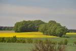 Landschaftbild zwischen Nienburg und Hannover, am 09.05.2011.