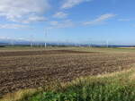 Windpark bei Klein-Vahlberg, Lkr. Wolfenbüttel (12.09.2025)
