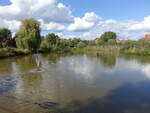 Dorfteich in Boimstorf, Lkr. Helmstedt (14.09.2025)