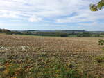 Felder bei Nieheim im Weserbergland (05.10.2021)