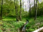 Das Marscheider Bachtal bei Wuppertal-Linde.(9.5.2013)