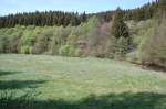Blick ber eine der Wiesen im Talgrund des Fuhrtsbachs am 7.5.2011 mit jeder Menge verblhter Narzissen.