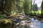 Lichtspiel am Perlenbach, wie fast jedes Jahr ging die erste Wandertour in die Eifel und an den Perlenbach, diesmal von Hfen aus entlang des Fuhrtsbach bis zum Mhlenweg und zurck.7.5.2011