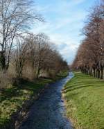 Der Erftlauf durch die Erftaue in Euskirchen - 03.03.2014