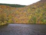 Blick über den Rursee im Nationalpark Eifel am 26.10.2008 