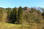 Dreistegen bei Monschau/Eifel mit dem Ehrensteinley Felsen im Hintergrund am 09.04.2015