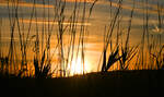 Sonnenuntergang �ber der Eifel durch`s Gras - 12.11.2025