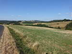 Felder bei Buir, Nordeifel, Lkr. Euskirchen (21.07.2026)