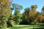 Gartenanlage von Schlo Falkenlust in Brhl.