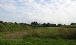 Eine Schöne Landschaft am Gemmenicher-Weg in Aachen am 14.9.2014.