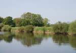 RHEINE, 10.05.2009, an der Ems bei Mesum