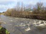 Vechtehochwasser an der Fischaufstiegsanlage Hagenhoff in Bilk, 07.02.2022