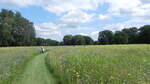 Blumenwiese am Wasserschloss Anholt in Isselburg im Kreis Borken am 28.07.2021.