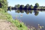 RHEINE, 14.08.2022, an der Ems ungefähr bei der Soldatenbrücke