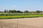 Blick in Richtung Bsinghoven, im Vordergrund sieht man Rabatten mit Dill und Sonnenblumen.