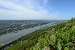 Blick vom Drachenfels auf den Rhein. (Königswinter, August 2012)