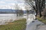 Nix geht mehr ohne Schwimmflossen. Vom Hochwasser berfluteter Weg am Rheinufer in Bonn-Mehlem - 02.03.2010