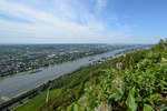 Blick vom Drachenfels auf den Rhein.