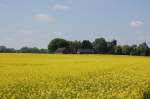 Rapsfeld mit Mhlen und Hof Idyll.