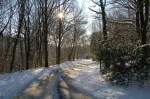 Spaziergang durch den botanische Garten in Bochum