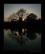 Abendstimmung am Wassergarten im Grugapark, Essen.