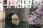 Der Mhlengraben mit Brcke im Frhjahr in Essen Kettwig.