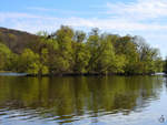 Diese kleine Insel in der Ruhr bei Witten ist ein wahres Wasservogelparadies. (April 2021)