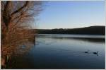 Blick auf den Baldeneysee in Essen - fotografiert vom Ufer in Heisingen.