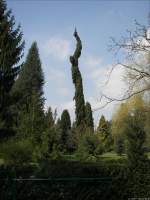Impressionen aus dem Botanischen Garten Rombergpark Dortmund. 06.04.2007