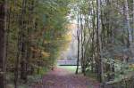 Auch diese Foto entstand in der Nhe des mminger Sees.Bochum ist eine Stadt mit sehr groem Baumbestand.