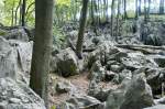 Das Felsenmeer bei Hemer ist ein Überbleibsel aus der Eiszeit, eines der bedeutendsten Geotope Deutschlands und nicht, wie so oft vermutet, ein Gewässer.