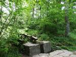 AN DER SIEGQUELLE IM ROTHAARGEBIRGE
An dieser Stelle im SIEGERLÄNDER ROTHAARGEBIRGE oberhalb des Ortes WALPERSDORF
liegt die im Jahr 2013 renaturierte Quelle der SIEG,die nach 155 km
bei MONDORF in den RHEIN mündet- nur wenige Kilometer davon entfernt der
Quellteich der LAHN,des zweiten hier entspringenden bedeutenden Flusses...
am 15.5.2018