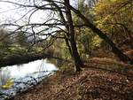 HERBST AN DER SIEG(NIEDERSCHELDEN)
Die SIEG verlässt hier das Siegerland und fließt auf die Rheinland-Pfälzischen
Städte Betzdorf und Wissen zu....
Ein Eisvogel hat sich diese idyllische Landschaft als sein Revier ausgesucht und
streicht öfter mit seinem blauen Gefieder blitzschnell übers Wasser...15.11.20