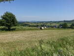 Felder bei Sassenhausen, Kreis Siegen-Wittgenstein (26.06.2026)