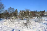 Winterimpression im Botanischen Garten, Rosengarten vom 28.12.2014
