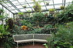 Einblick in das Tropenhaus des Botanischem Gartens in Solingen vom 02.01.2020