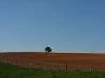 Landschaft in der Nhe von Geichlingen im Deutsch-Luxemburgischen Naturpark (25.04.2011)