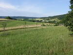 Wiesen bei Peffingen im Naturpark Südeifel (22.06.2022)