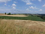 Felder bei Sevenig (Our), S�deifel (18.07.2026)