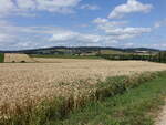 Getreidefelder bei B�desheim, S�deifel (19.07.2026)