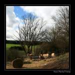 Hunsrck - Lndliche Idylle bei Womrath, Rheinland-Pfalz Deutschland