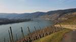 Blick ber den Rhein und die Weinberge bei Boppart.