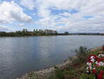 Rhein bei Engers, Mittelrheintal (31.08.2026)