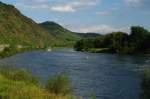 Mosel bei Neef (22.08.2009)