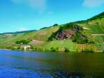 Deutschland, Rheinland-Pfalz, Weinberge am rechten Moselufer sdlich von Wintrich, 02.06.2012