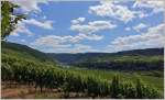 Weinreben, die Mosel und malerische Orte wie Pünderich laden zum entdecken des Mosellauf ein.