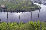 Aussicht auf die Mosel bei Bremm.